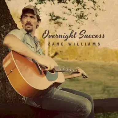 Overnight Success