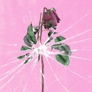 Toxicity