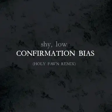 Confirmation Bias (Holy Fawn Remix)