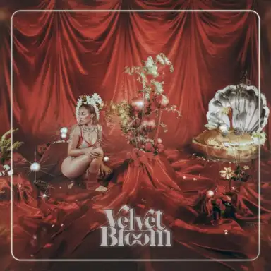 Velvet Bloom