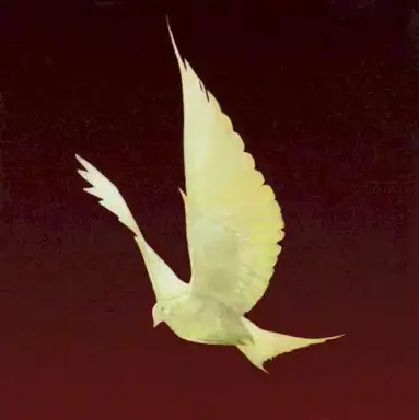 Dove