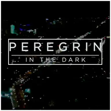In the Dark