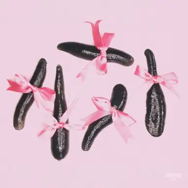 Leech (Toronto Is Broken remix)