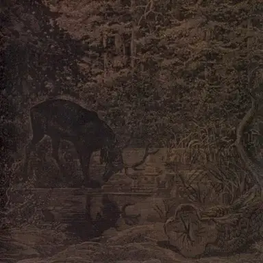 Of Stone, Wind, and Pillor