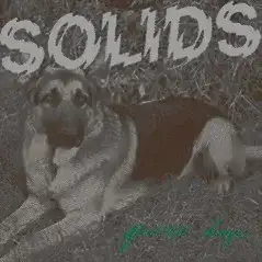 Generic Dogs
