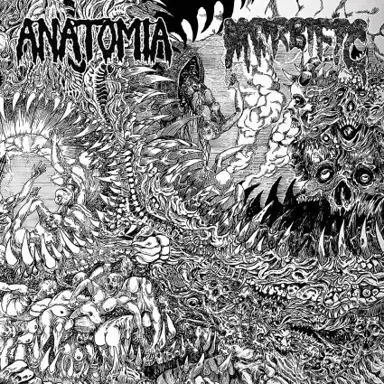 Anatomia / Morbific