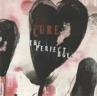 The Perfect Boy