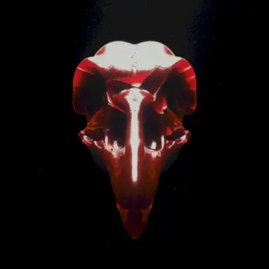 Miracle (alt versions)
