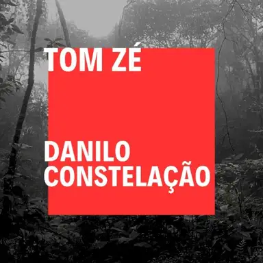 Danilo Constelação