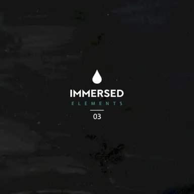 Immersed Elements 03
