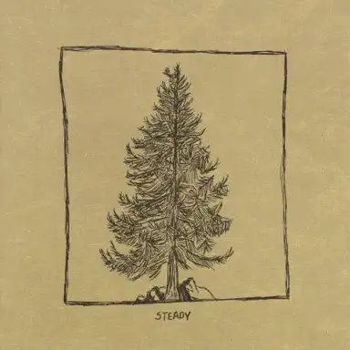 Steady