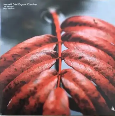 Organic Chamber