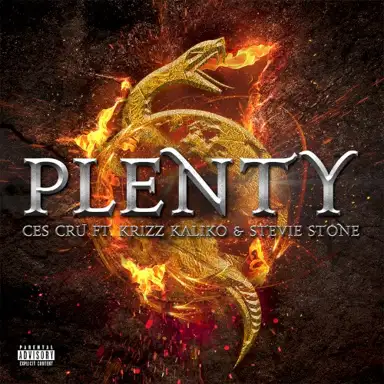 Plenty