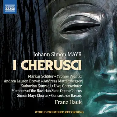 I Cherusci