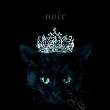 BEST SELECTION “noir”