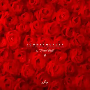 Sommermorgen (Pt. II) - Joy