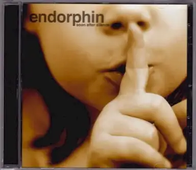 Soon After Silence
