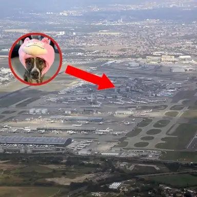 heathrow