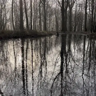 The Deep Cut