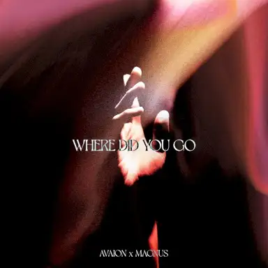 Where did you go