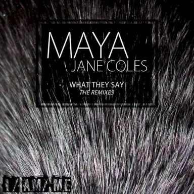 What They Say (The Remixes)