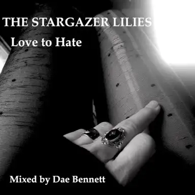 Love to Hate