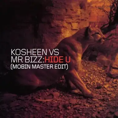 Hide U (Mobin Master Edit)