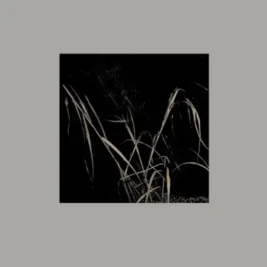 v02 Variant [ I–IV ]
