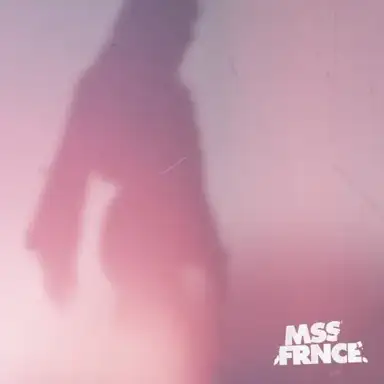 Le Dernier Jour du disco