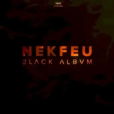 Black Album