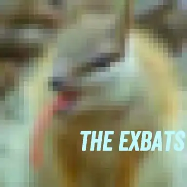 Last of The Numbats