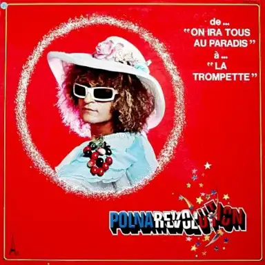 Polnarévolution