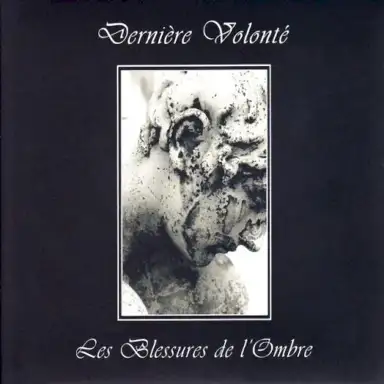 Les Blessures de l’ombre