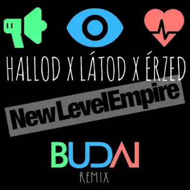 Hallod látod érzed (Budai remix)