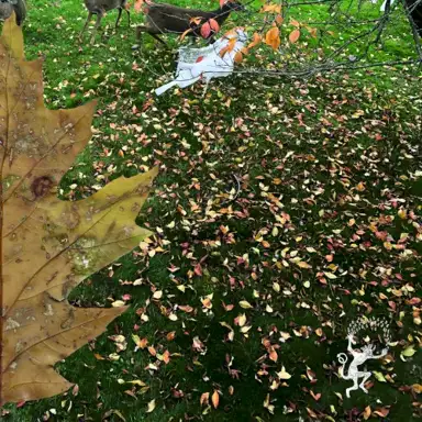 When Summer Turns to Fall