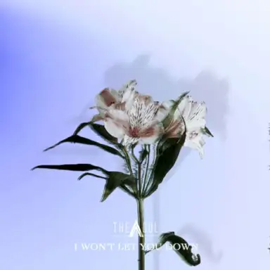 I won't let you down (岸本賢一 ver.)