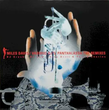 Panthalassa: The Remixes