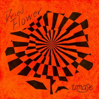 Dried Flower