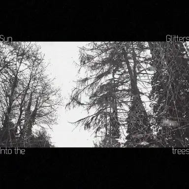 Into the trees
