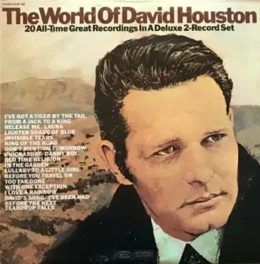 The World Of David Houston
