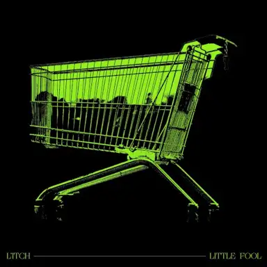 Little Fool