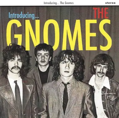 The Gnomes