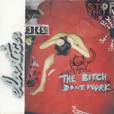 The Bitch Don't Work