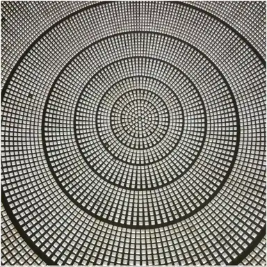 Untitled (2025)
