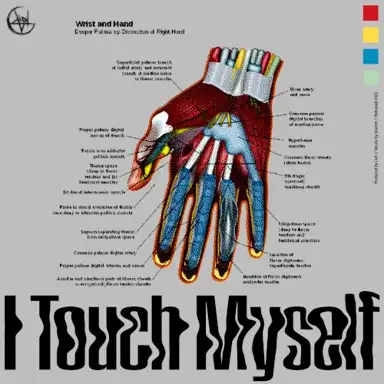 I Touch Myself