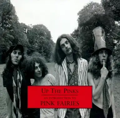 Up The Pinks: An Introduction to Pink Fairies