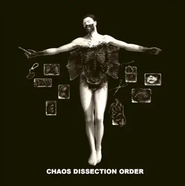 Chaos Dissection Order
