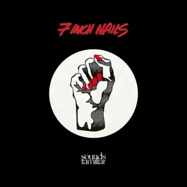 7 Inch Nails