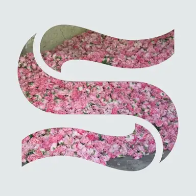 Step by Step EP