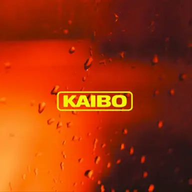 Kaibo